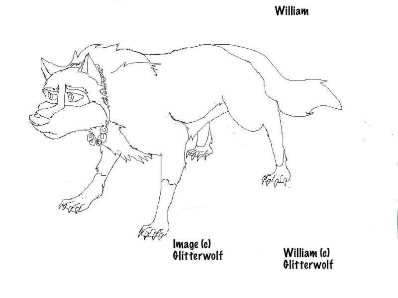 William - rough drawing