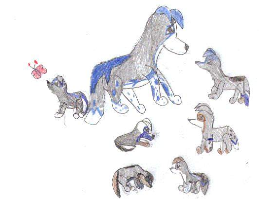 Runty's pups