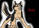 Jack?
