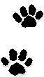 Paw Prints (Modified) 