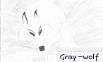 Gray-wolf
