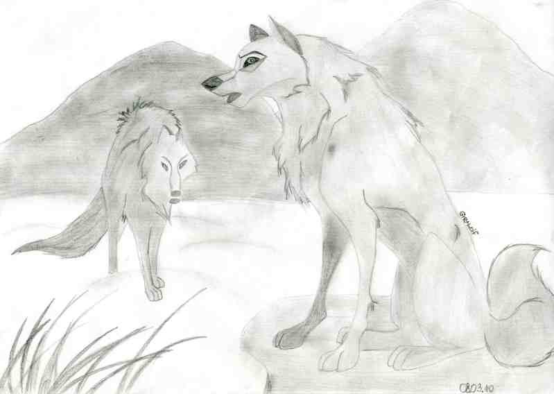 Aniu and Balto