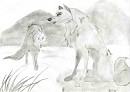 Aniu and Balto