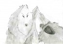 Aniu and Balto