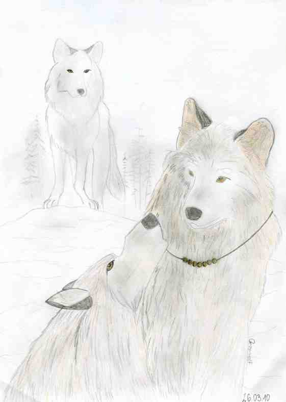 Aniu Grey Wolf and Kazan