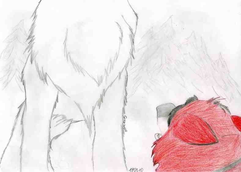 Kodi & White Wolf