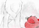 Kodi & White Wolf