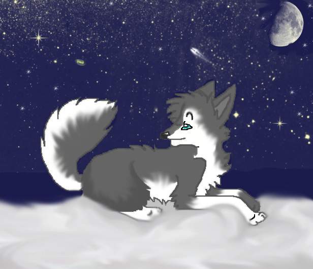 The Northern Stars