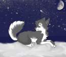 The Northern Stars