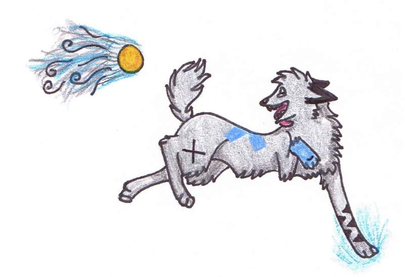 Fetch!