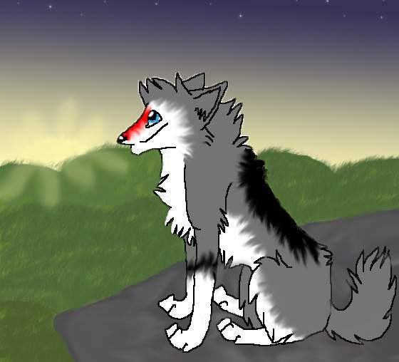 .:Looking out on my lands:.