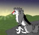 .:Looking out on my lands:.
