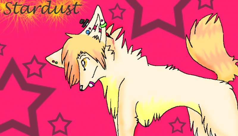 stardust request