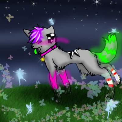 Let my imagination run wild!