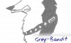 Grey_Bandit