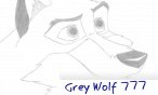 Grey Wolf 777