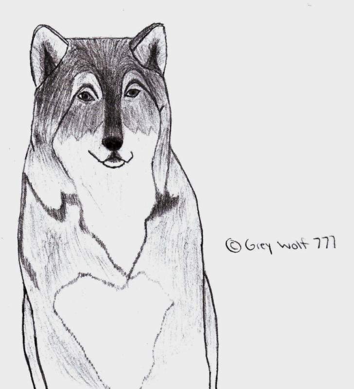 Grey Wolf Gase