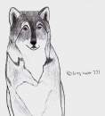 Grey Wolf Gase