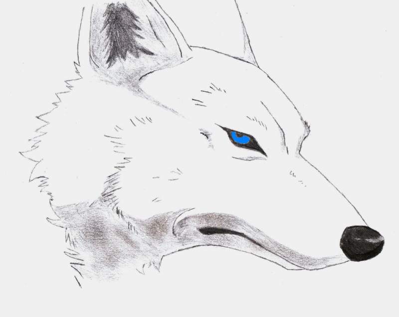 A look in his eye