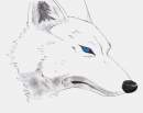 A look in his eye