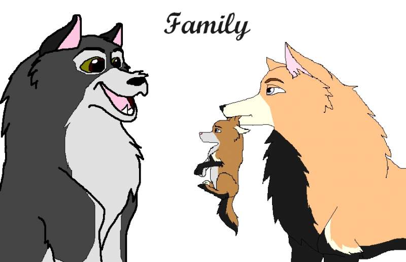 Umm C:!!