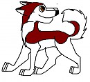 Kodi