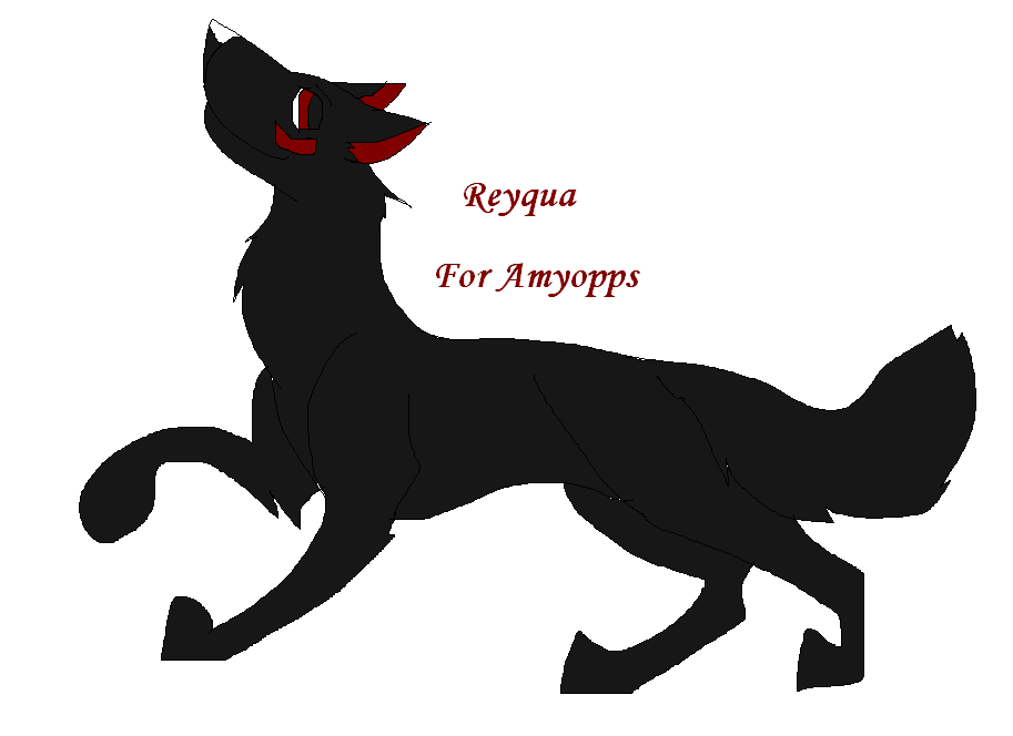 Reyqua pour ma Amy