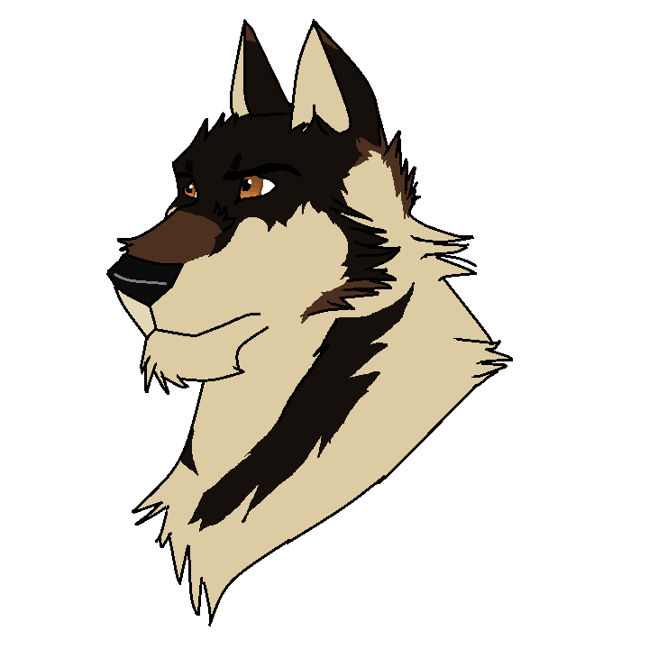 New character