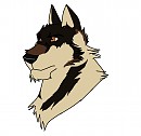 New character