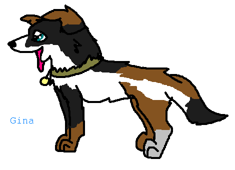 Woof! I'm Gina