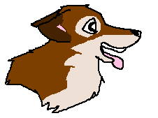 Balto