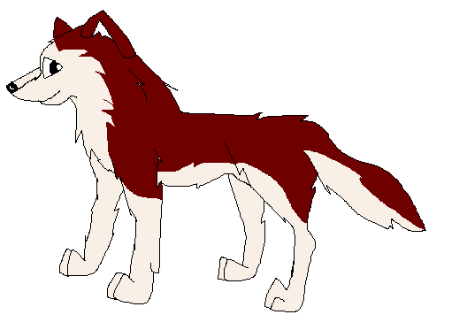 Woof! I'm Kodi!