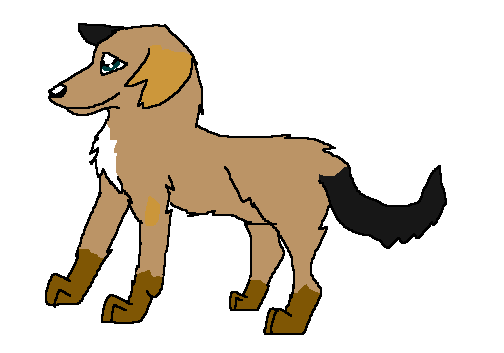 Woof! I'm Graze..