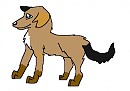 Woof! I'm Graze..