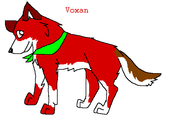 Voxan, my red faced pup.