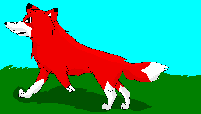 Roso for wolfhusky