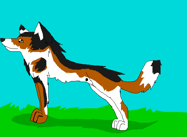 Janie, my fursona!