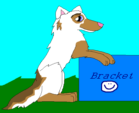 Bracket ♥