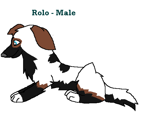 Rol-o!