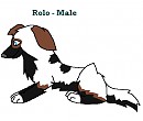 Rol-o!