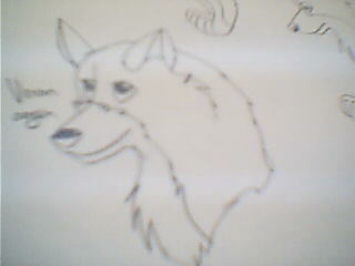 Voxan again :)