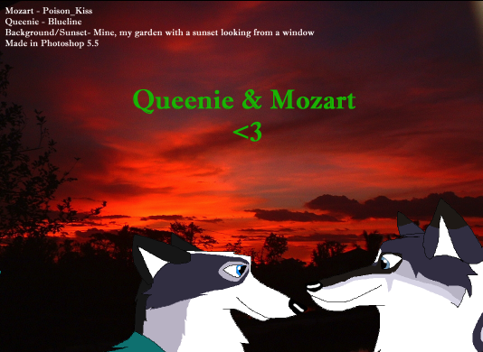 <3 Queenie and Mozart <3