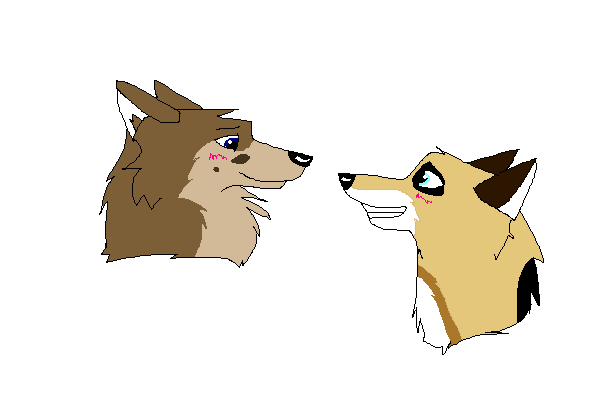 <3 A new couple