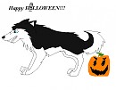 Steele is trick-or-treating in a Spooky way!