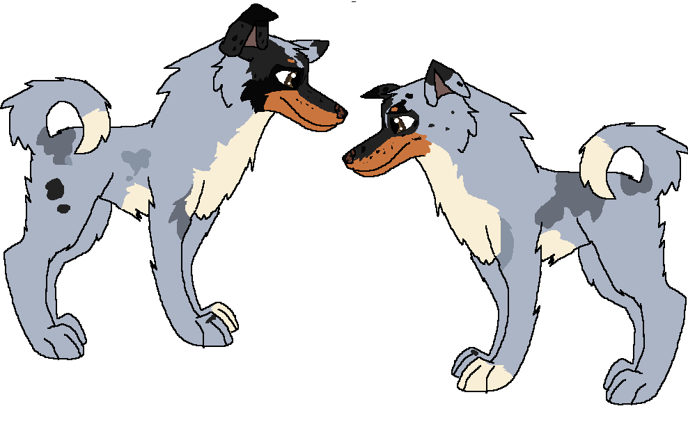 New char 8D