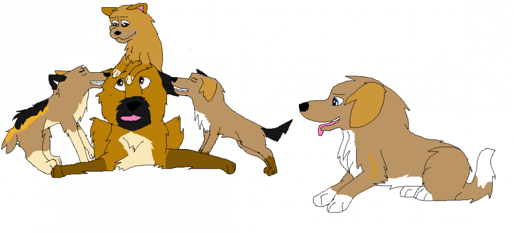 Puppy Attack
