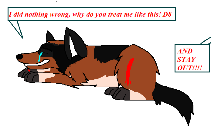 I did nothing wrong!!!
