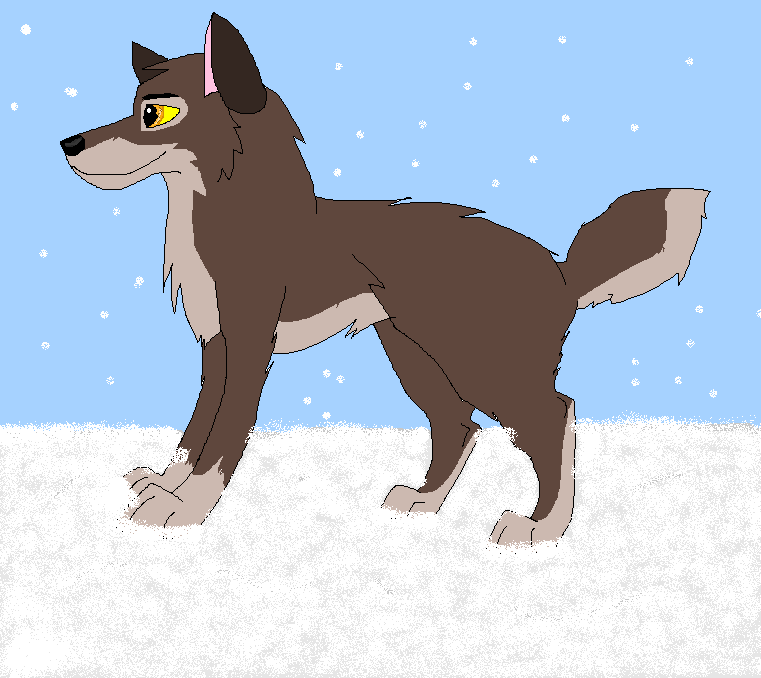 Snow 83