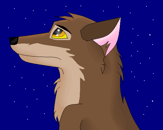 Balto 83