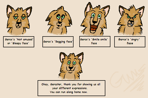 Garco's Many Faces. . .